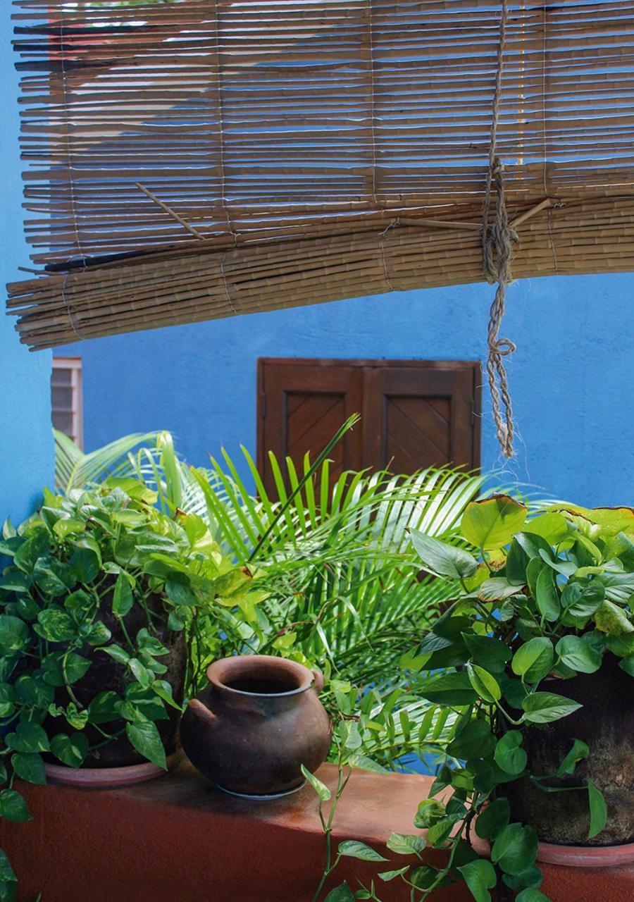 Casa Azul Hotell San Agustinillo Eksteriør bilde